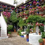 Turístico La Terraza De Apartamento *